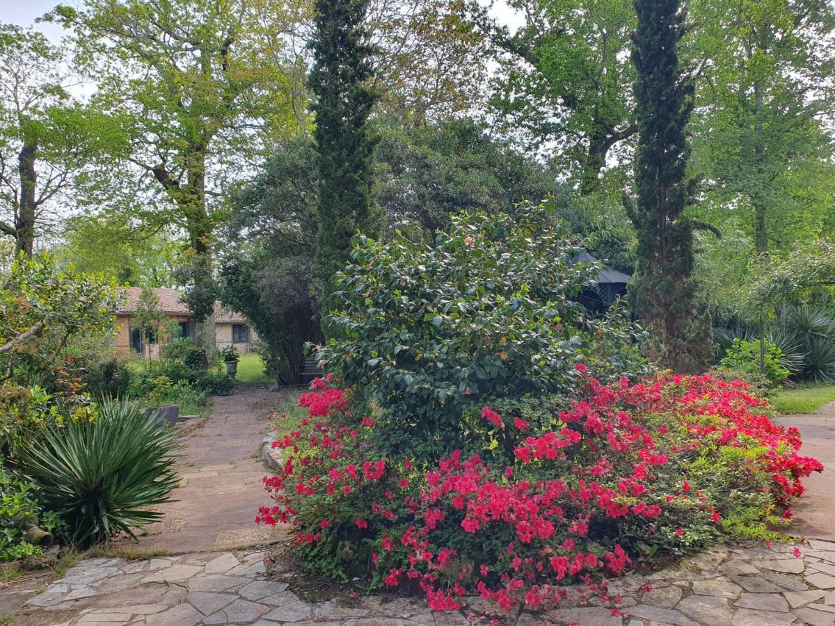 Manoir De Tireveste Lesperon  エクステリア 写真